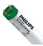 Philips MASTER TL-D ECO 51W - 865 Daglys | 150cm