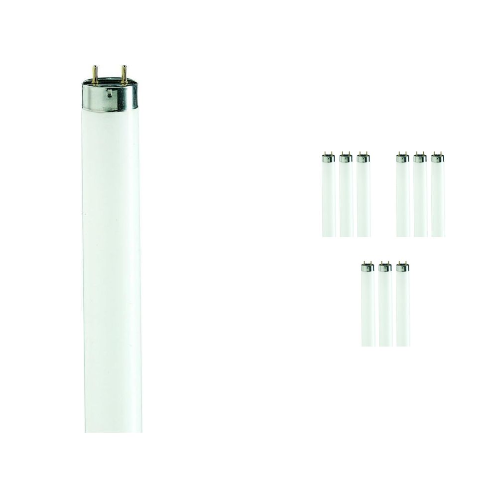 Fordelspakning 10x Philips TL-D 90 De Luxe 58W 965 - 150cm (MASTER) Fordelspakning 10x Philips TL-D 90 De Luxe 58W 965 - 150cm (MASTER)
